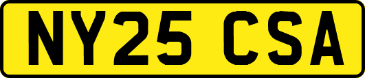 NY25CSA