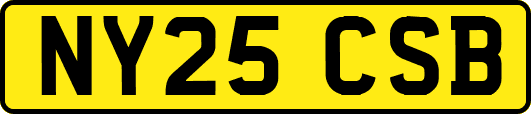 NY25CSB