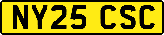 NY25CSC