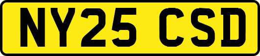 NY25CSD
