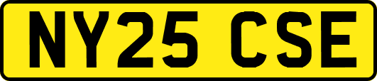 NY25CSE