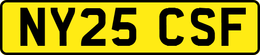 NY25CSF