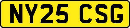 NY25CSG