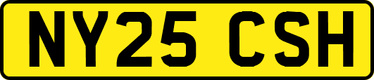 NY25CSH