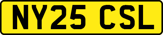 NY25CSL