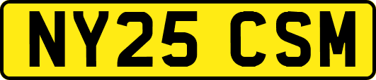 NY25CSM