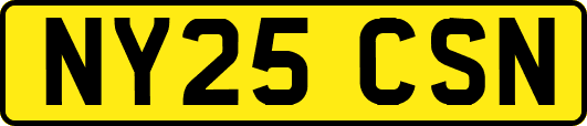 NY25CSN