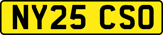 NY25CSO