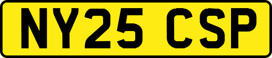 NY25CSP