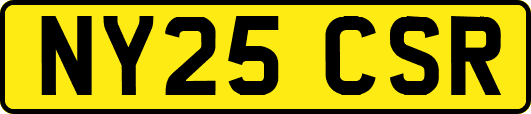 NY25CSR
