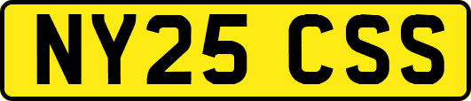 NY25CSS