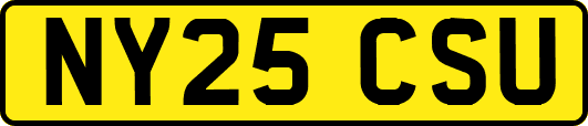 NY25CSU