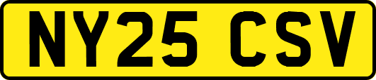 NY25CSV