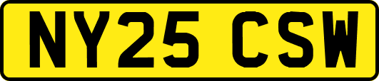 NY25CSW