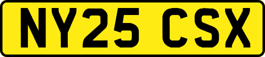 NY25CSX