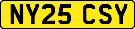 NY25CSY