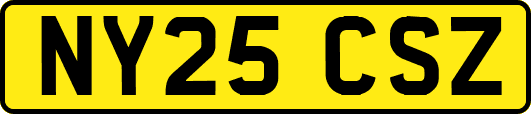 NY25CSZ
