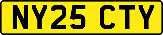 NY25CTY
