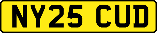NY25CUD