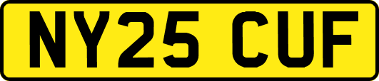 NY25CUF
