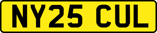 NY25CUL