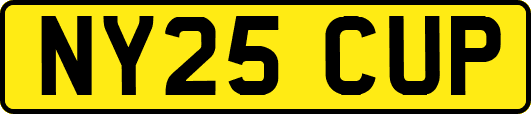 NY25CUP