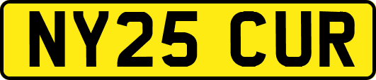 NY25CUR