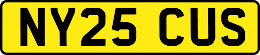 NY25CUS