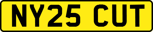 NY25CUT