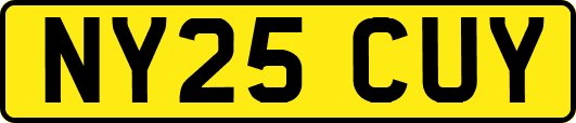NY25CUY