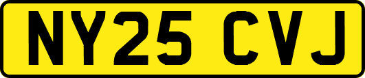 NY25CVJ