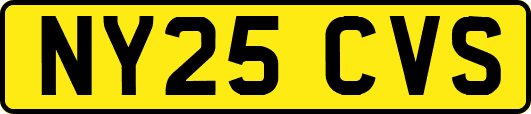 NY25CVS