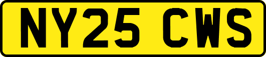 NY25CWS