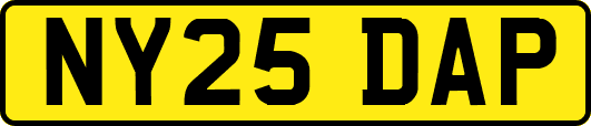 NY25DAP