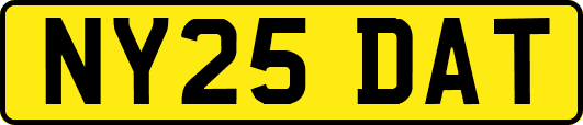 NY25DAT