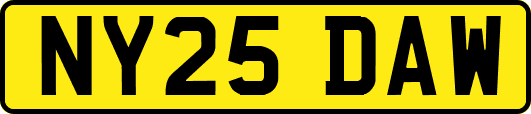 NY25DAW