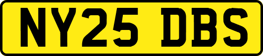 NY25DBS