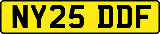 NY25DDF