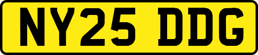 NY25DDG
