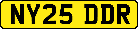 NY25DDR
