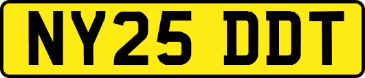 NY25DDT