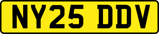 NY25DDV