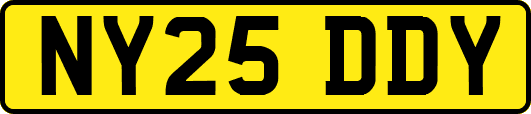 NY25DDY