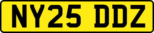 NY25DDZ