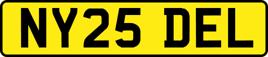 NY25DEL