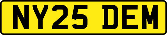 NY25DEM