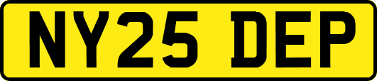 NY25DEP