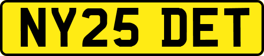 NY25DET