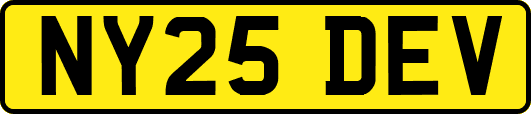 NY25DEV