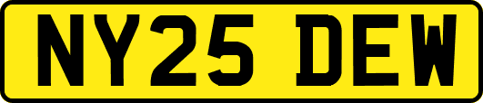 NY25DEW